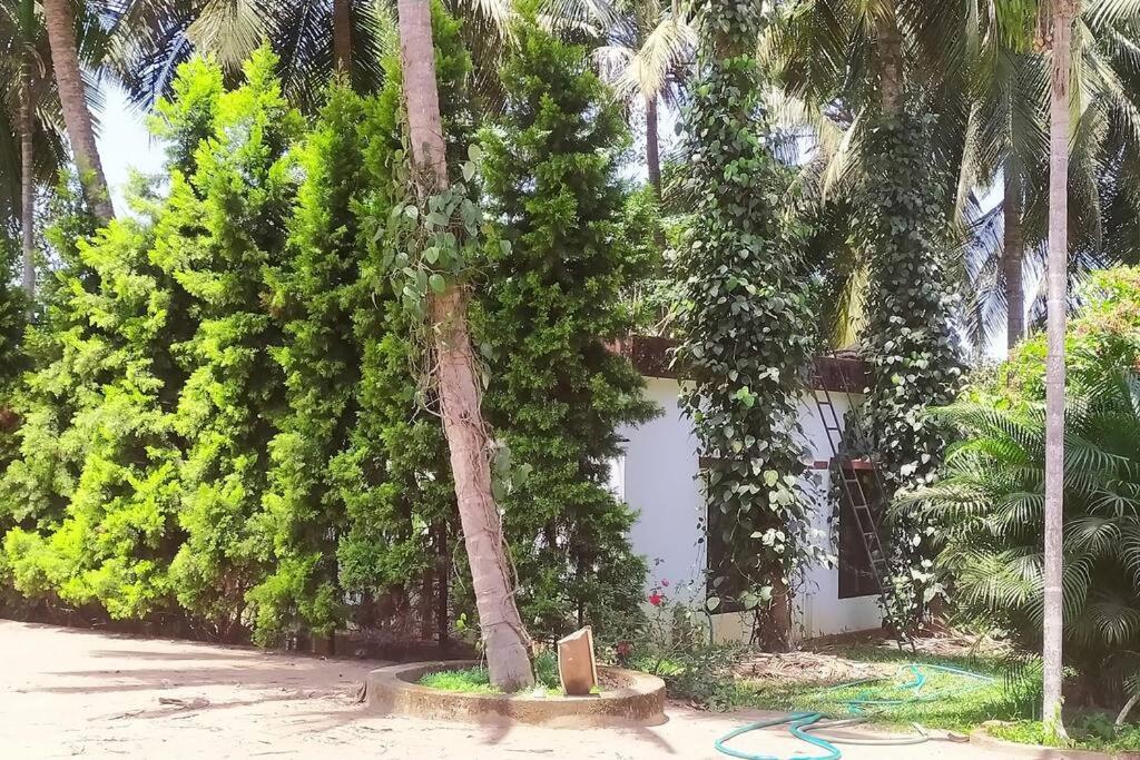 Runnin Airport - Homestay Gurpur Exterior photo