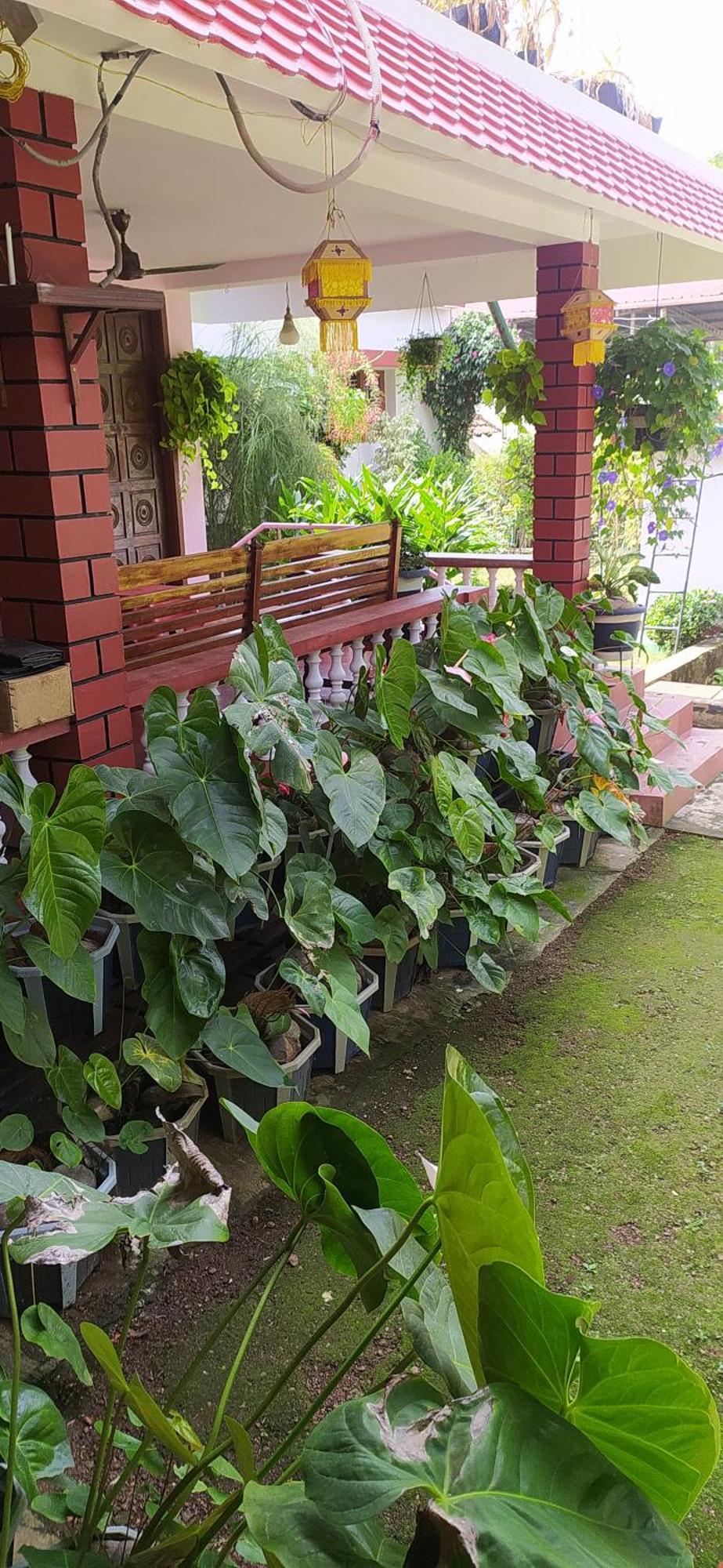 Runnin Airport - Homestay Gurpur Exterior photo